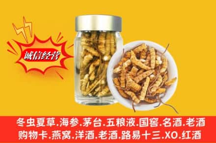 商城县回收散虫草